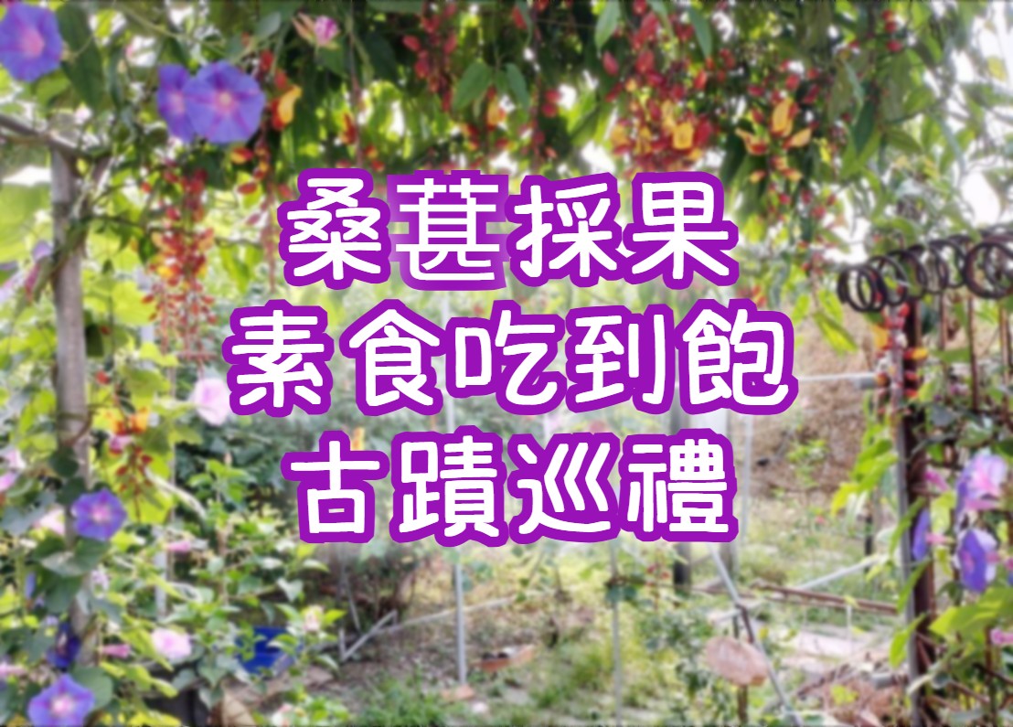 【2026桑葚季】草地果園桑葚採果・素食buffet吃到飽・日治建築巡禮・龍潭湖　宜蘭一日遊（ILN76）