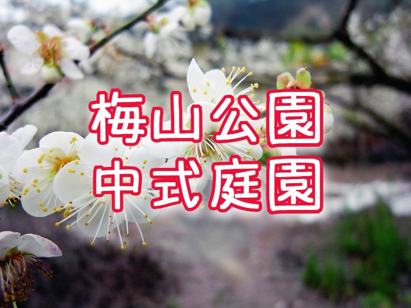 【2026賞梅】梅山公園・夢幻東方庭園　嘉義一日遊（CHY17）