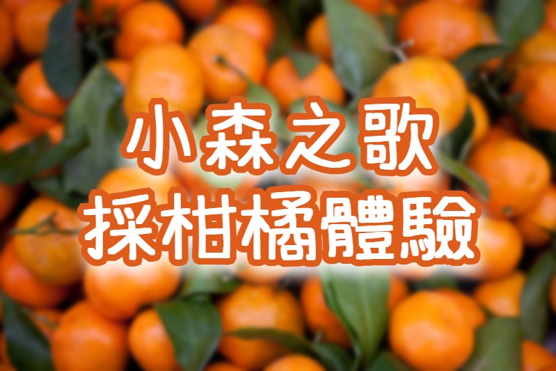 🍁【2025落羽松】小森之歌・關西老街・採柑橘體驗　新竹一日遊（HSH18）