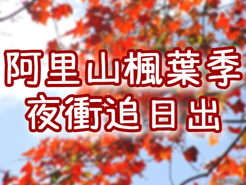 🍁【2025賞楓】阿里山楓葉季・日出曙光・奮起湖　阿里山夜未眠一日遊（CHY15）🌄