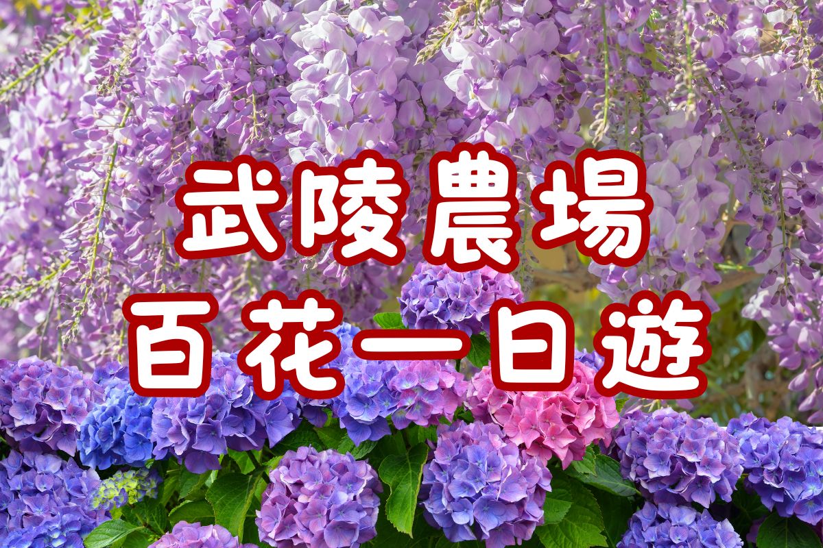 四季花之饗宴・桃山瀑布　武陵農場一日遊（TCH35）