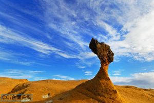 步行至野柳地質公園(約10分鐘)，探訪因風化侵蝕而成的特殊地形景觀