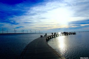 17:30-19:15 【高美濕地】