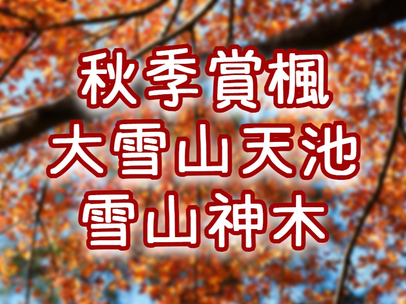 🍁【2025賞楓】大雪山天池・雪山神木步道　台中大雪山一日遊（TCH25）