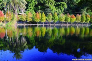 15:00~15:50【月眉人工濕地生態公園】有如仙境的月眉人工濕地生態公園，水池濕地與綠意盎然茂盛樹木倒映池水呈現清新翠綠美景，每年冬季還可欣賞夢幻的落羽松美景～濕地還擁有如同天然過濾器般的功能，淨化水質並提供魚類、水鳥、昆蟲的棲地環境，兼具了教育和景觀等多元價值，是一個老少咸宜的戶外空間