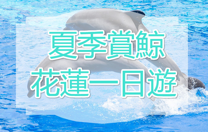 【花蓮賞鯨】鯨豔盛夏 花蓮賞鯨一日遊（HUN05）