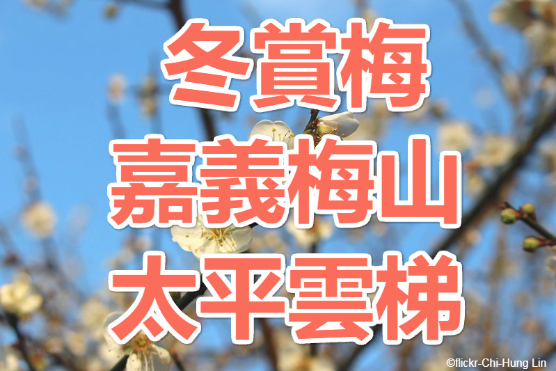 【冬賞梅】梅好風光　嘉義梅山太平雲梯一日（CHY17）