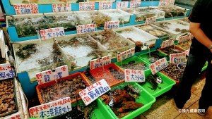 【建議行程】烏石港品嘗海鮮料理或蘭陽博物館