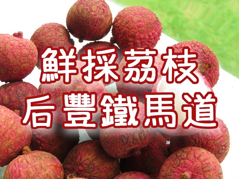 ❤️【鮮採荔枝】雲仙谷果園・廟東美食・后豐鐵馬道　台中一日遊（TCH12）