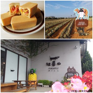 【旺萊山鳳梨文化園區】北回歸線的陽光灌溉成長的民雄鳳梨，肉質細密、鮮甜多汁～嚴選鳳梨製成的鳳梨酥也是香氣滿溢、酸甜香濃！