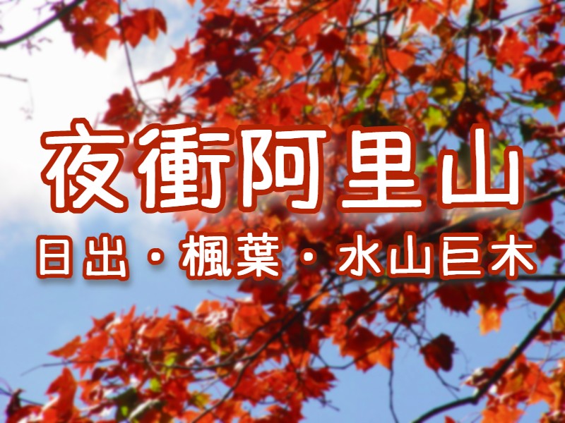 🍁【2022賞楓】阿里山日出・水山巨木・檜意森活村・森鐵園區　阿里山夜未眠一日遊（CHY15）
