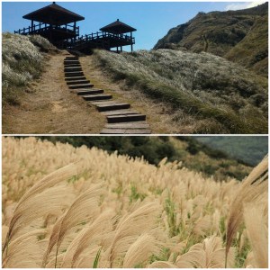 09:30~13:30【草嶺古道～芒花季】草嶺古道屬淡蘭古道中之一段，亦是目前僅存的古代道路遺跡，每年秋季芒花盛開，漫山的芒花隨風翻滾，宛如銀色浪花一般，增添古道浪漫風情！（路線：遠望坑口→大里遊客中心，全程約6公里，途經緩坡及上下階梯，請自行評估身體狀況後報名）