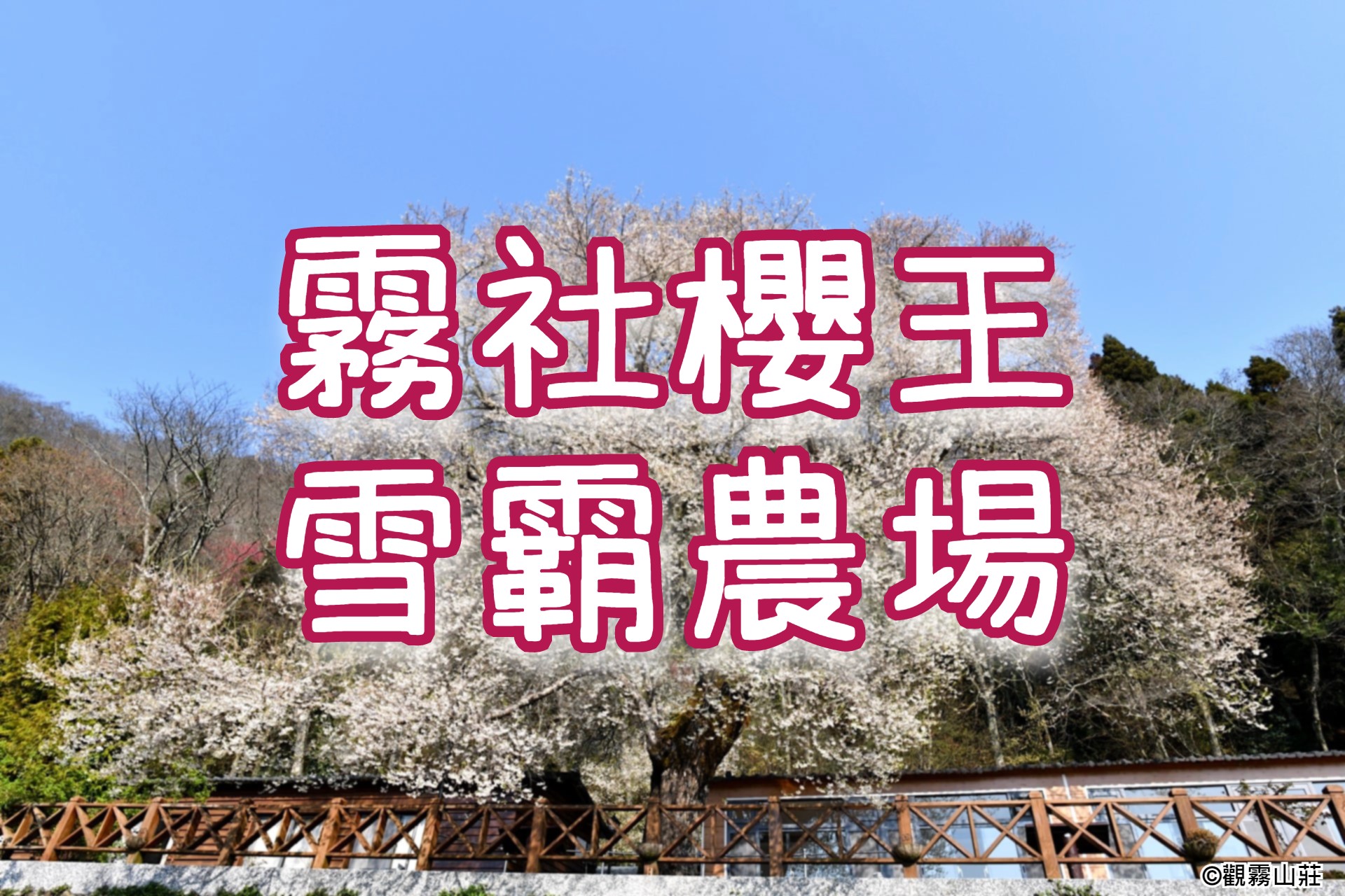 白沙屯拱天宮