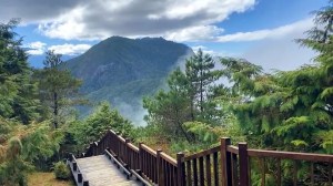 【觀霧國家森林遊樂區～雲霧步道】觀霧森林遊樂區內最精華的雲霧步道，短短800多公尺就可以遠眺雪山群峰、大霸線、聖稜線等。