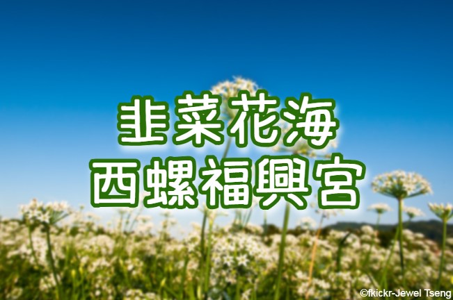 韭菜花海・西螺福興宮・延平老街　雲彰一日遊（CWH21）