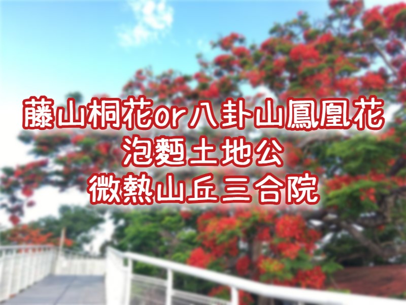 藤山步道桐花or八卦山鳳凰花・芬園福榕宮・微熱山丘三合院　彰化一日遊（CWH25）